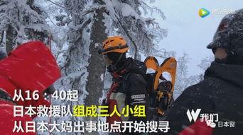 国产雪山救援视频
