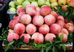 欧美国产水蜜桃在线视频,在线视频中的甜蜜之旅